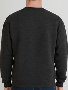 Crewneck sweater